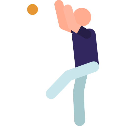 Baseball icon