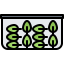 Spinach icon 64x64