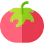Tomato 상 64x64