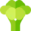 Broccoli icon 64x64