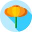 Marigold icon 64x64