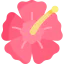 Hibiscus 상 64x64