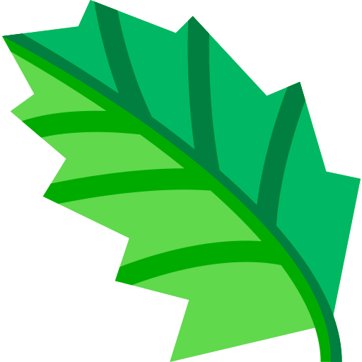 Leaf icon