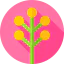 Flowers Ikona 64x64