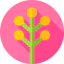 Flowers icon 64x64