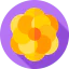 Flowers icon 64x64