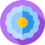 Flowers icon 64x64