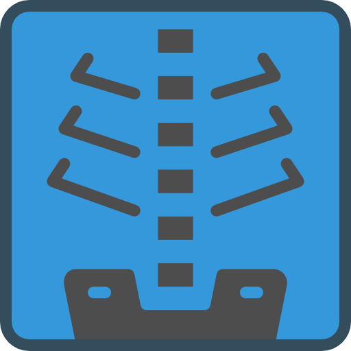 X ray icon