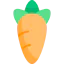 Carrot icon 64x64