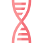 Dna 图标 64x64