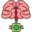 Мозг иконка 64x64