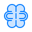 Brain icon 64x64