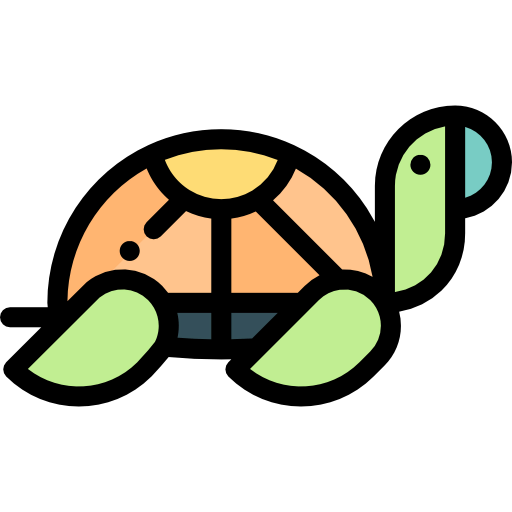 Tortoise icon