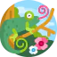 Chameleon icône 64x64