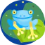 Frog icône 64x64