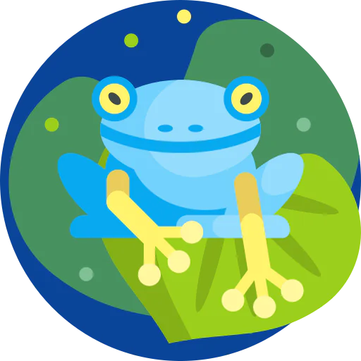 Frog icon