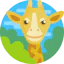 Giraffe icône 64x64
