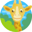 Giraffe icon 64x64