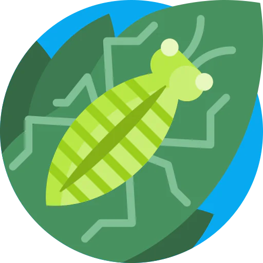 Bug icon
