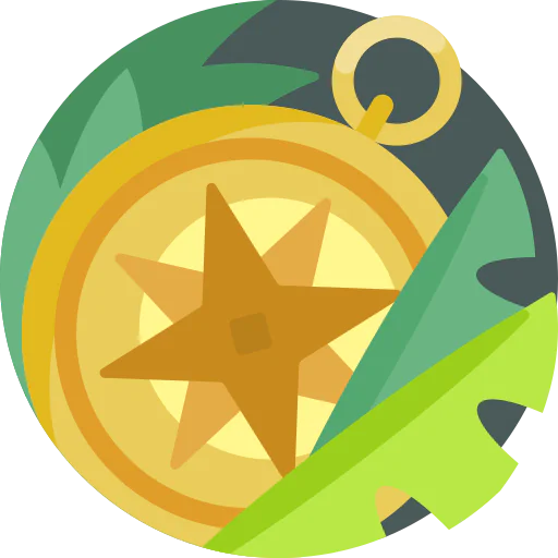Compass icon