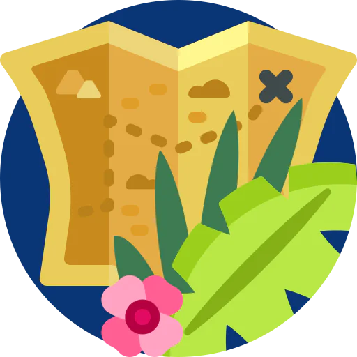 Map icon
