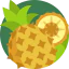 Pineapple icon 64x64