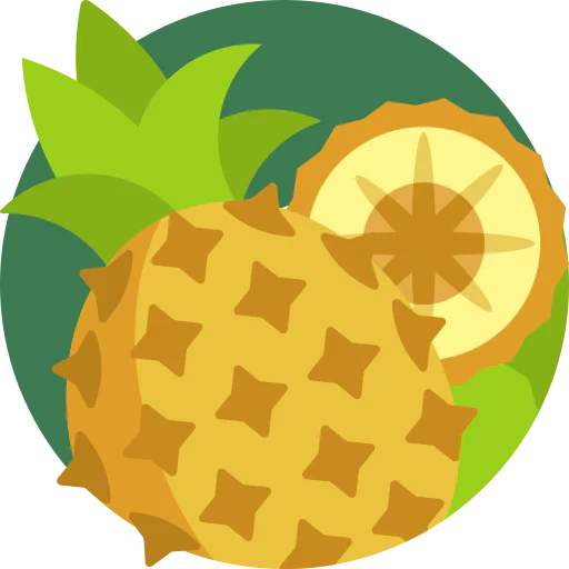 Pineapple icon