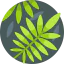 Fern icon 64x64