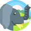 Elephant icon 64x64