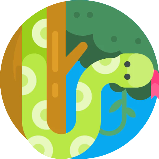 Snake icon