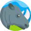Rhinoceros icône 64x64