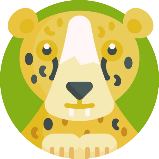 Leopard icon