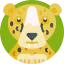 Leopard icon 64x64