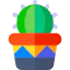 Cactus icon 64x64