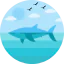 Whale ícone 64x64