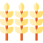 Wheat icon 64x64