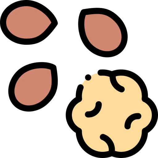 Walnut icon