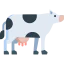Cow іконка 64x64