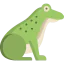 Frog іконка 64x64