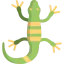 Lizard icône 64x64