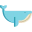 Whale ícono 64x64