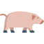 Pig 图标 64x64