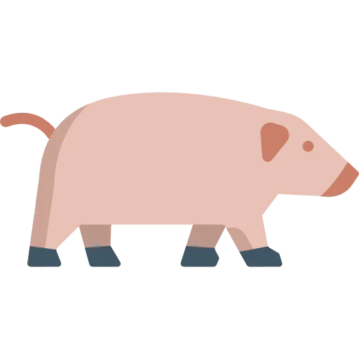Pig icon