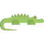 Crocodile icon 64x64