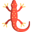 Salamander Ikona 64x64