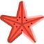 Starfish іконка 64x64