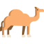 Camel 상 64x64