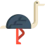 Ostrich ícono 64x64