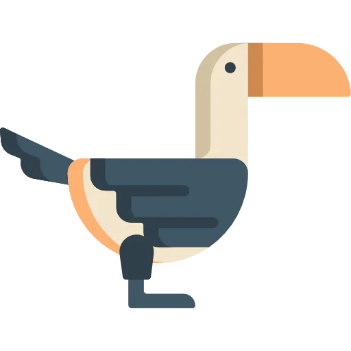 Toucan icône