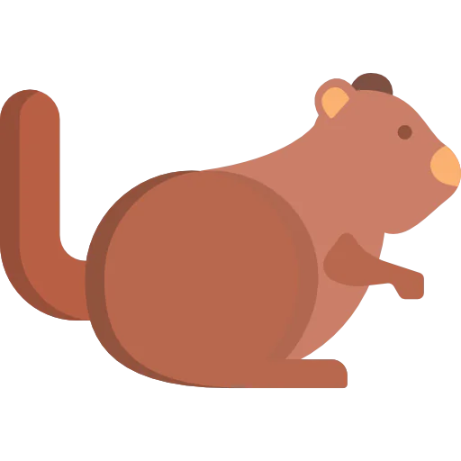 Squirrel icon